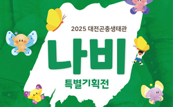 대전곤충생태관, ‘나비 특별기획전’ 23일 개막