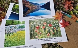 렌즈로 담은 청렴, 대전교육과학연구원 ‘감성 캠페인’ 눈길
