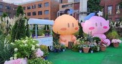 ‘대전 0시 축제’ 앞두고 꿈씨패밀리 등 조성