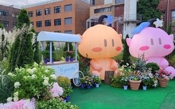 ‘대전 0시 축제’ 앞두고 꿈씨패밀리 등 조성