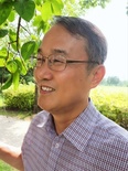 이순신과 명랑대첩 