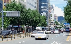 (기획) 12일만에 중앙로 뻥! 내년에도 할까?