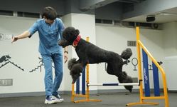 우송정보대, 대전 유일 반려동물행동지도사 국가시험장 선정