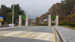 (기획) 등록금 올려? 말아? 교육부 눈치 고민되네 