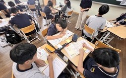 대전교육청, 책임교육학년제 컨설팅, 우수 사례 보급