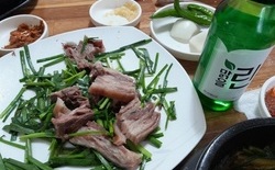 (기획) 내일 末伏 & 개고기 有感