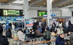 (기획)이재명 공약 '공짜 25만원‘ 받아? 말아?