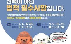 대전시, 5∼6월, 반려동물 등록 신고 기간 운영
