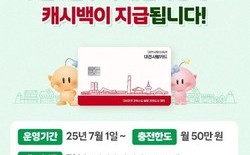 (기획) 대전지역 화폐 구경, 얼마만이야?