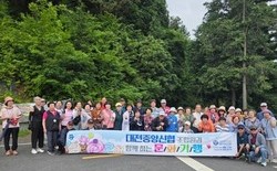 대전중앙신협 조합원, 편백나무 숲에서 피톤치드 만끽