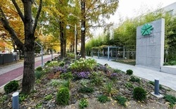 대전시청 북문 광장 ‘시민애뜰’로 돌아왔다
