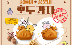 꿈씨패밀리 활용, 궂즈형 상품, 호두과자 출시