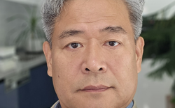 꽃비