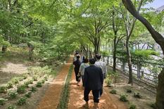 한밭수목원 맨발걷기 산책로 인기