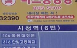 대전시청-세종 누리동 운행 광역버스 신규 개통 