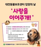 대전동물보호사업소 ‘유기동물 입양의 날’ 행사 개최
