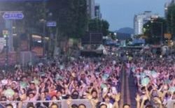 (기획) 뽑고 심고 안 됐는데도 자화자찬 대전시 