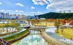 대전 갑천생태호수공원, 개장 한 달 만에 방문객 22만 명 돌파