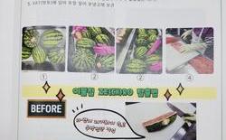대전교육청, 학교급식 이물질 ZERO 매뉴얼 개발
